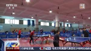 塑料乒乓球台性能